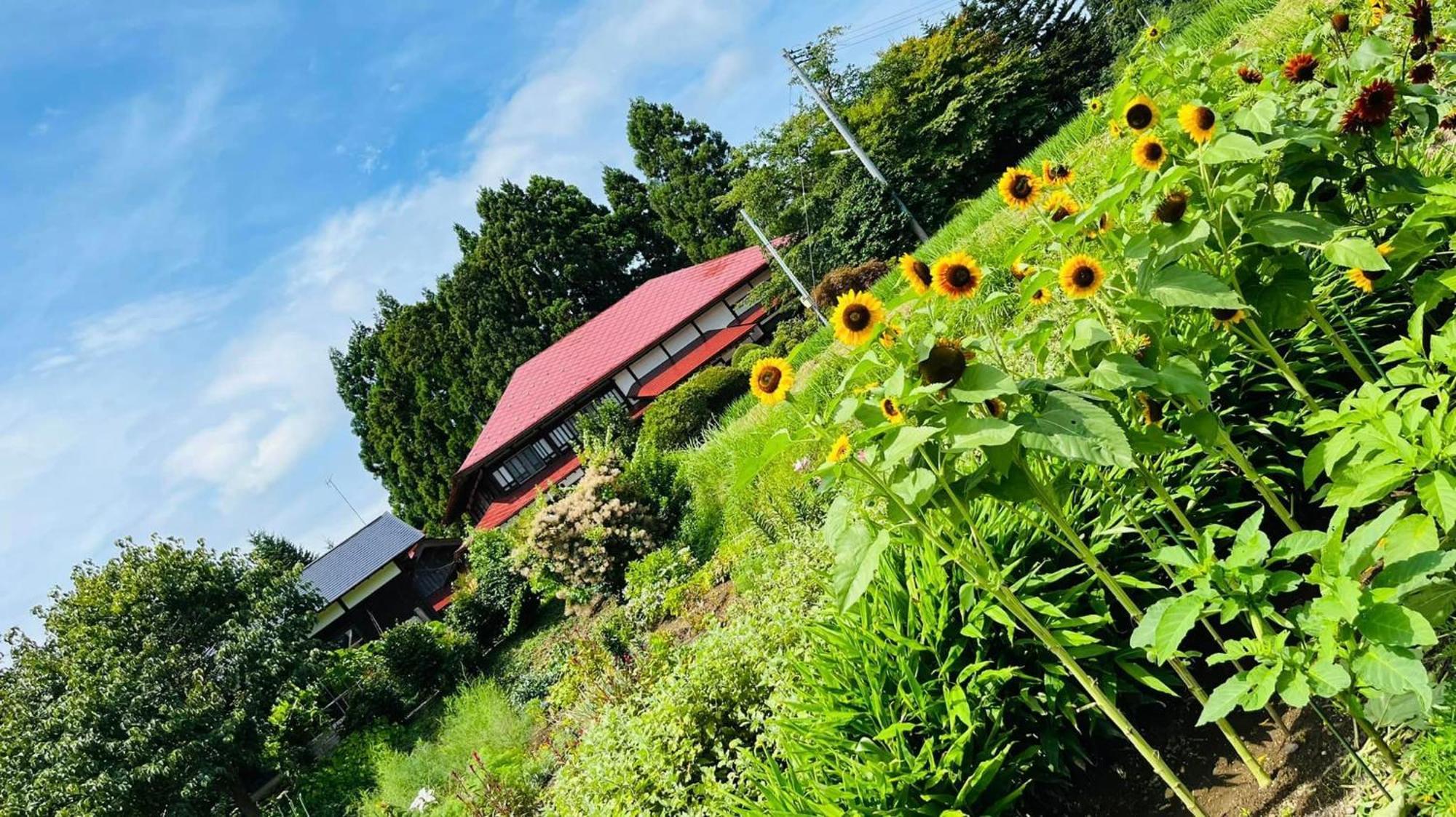 Homestay 農家民宿　里山のカフェ ににぎ
