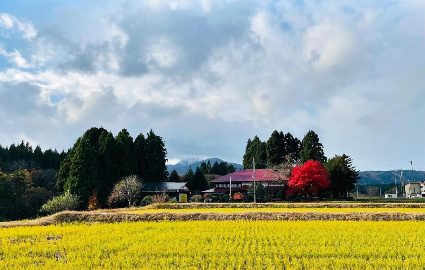 農家民宿　里山のカフェ ににぎ * Oga